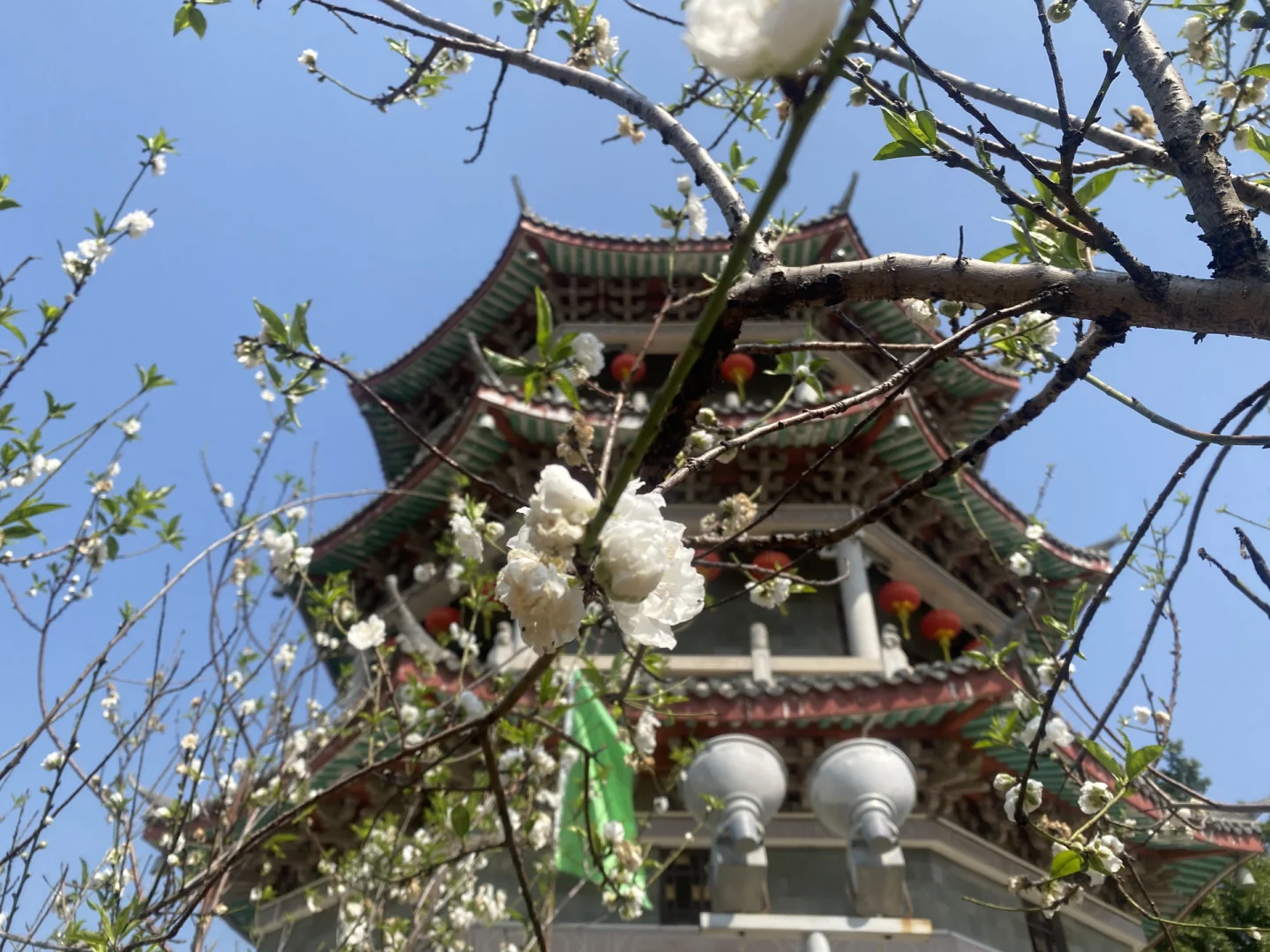 潮州凤凰洲公园,潮汕旅游必去十大免费景点