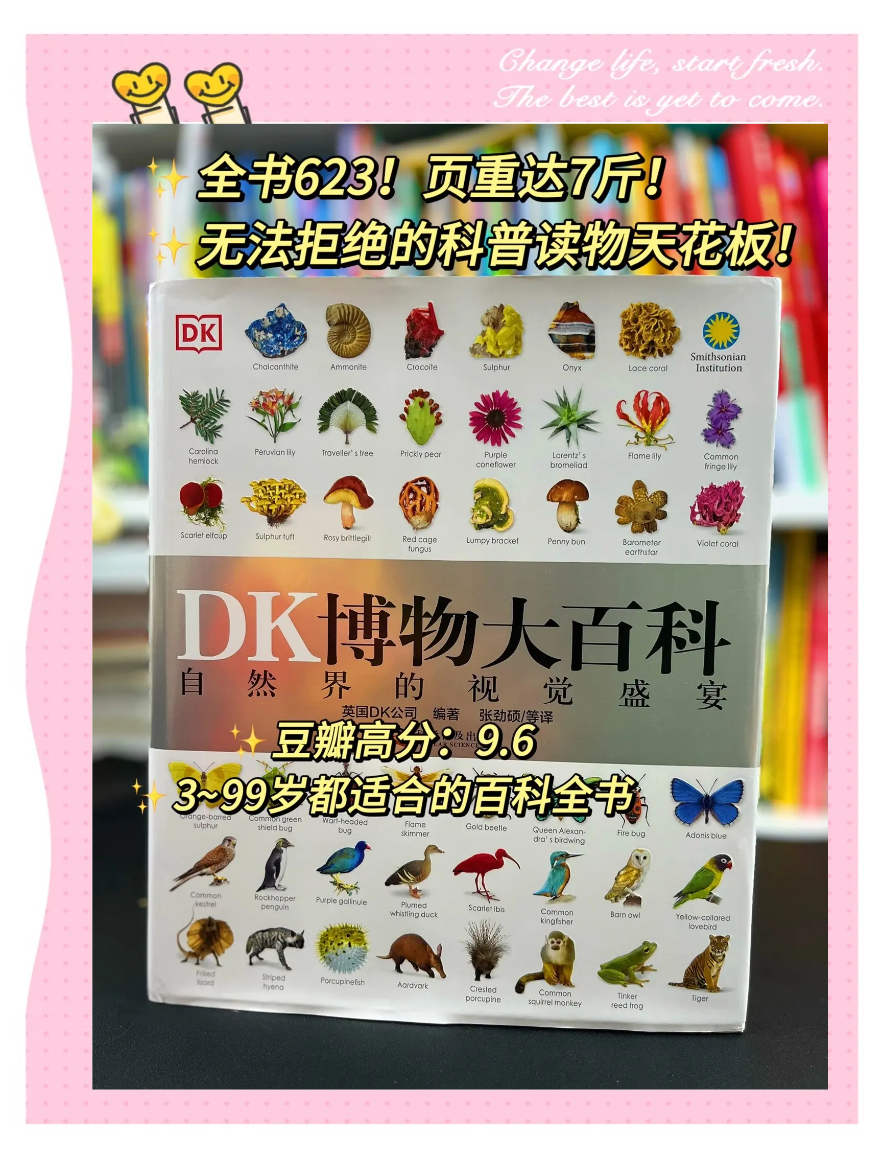 儿童必看的百科全书,7岁儿童必读的10本好书