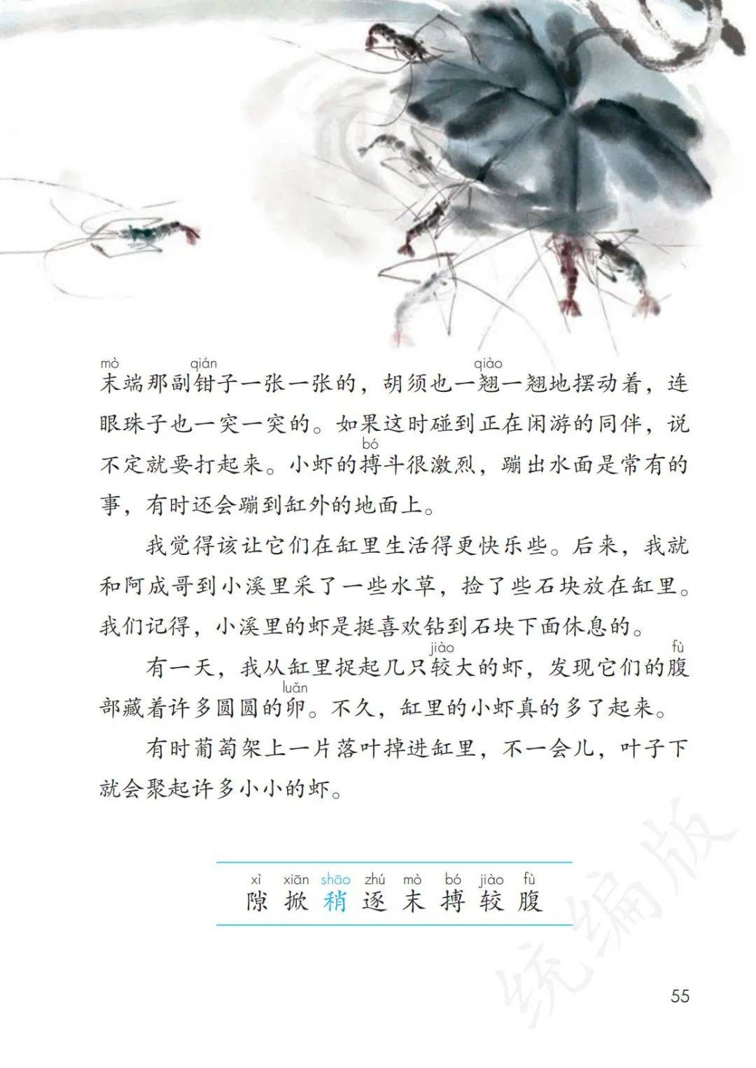 教材电子书,大学教材pdf免费下载网站