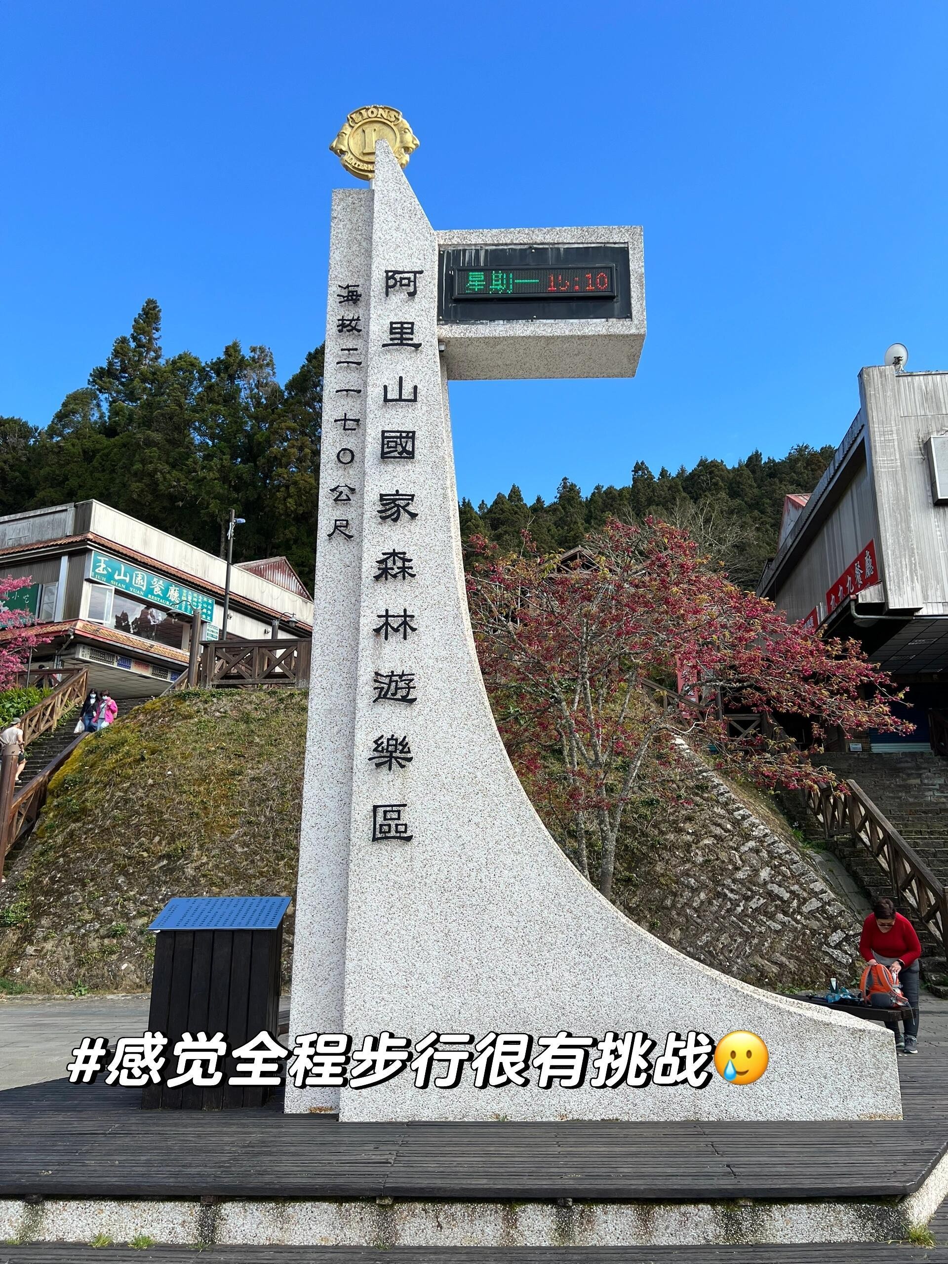 阿里山攻略,阿里山烟全部图片及价格