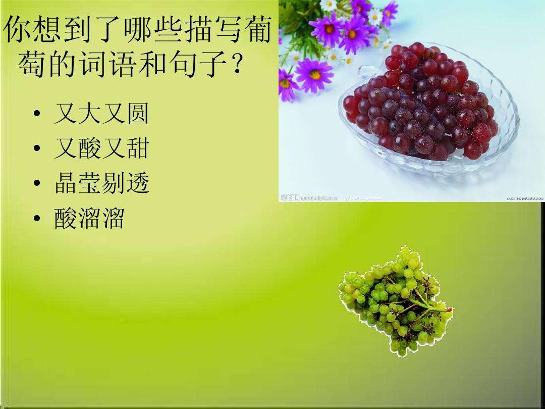 萄组词20个,萄组词2个字四年级