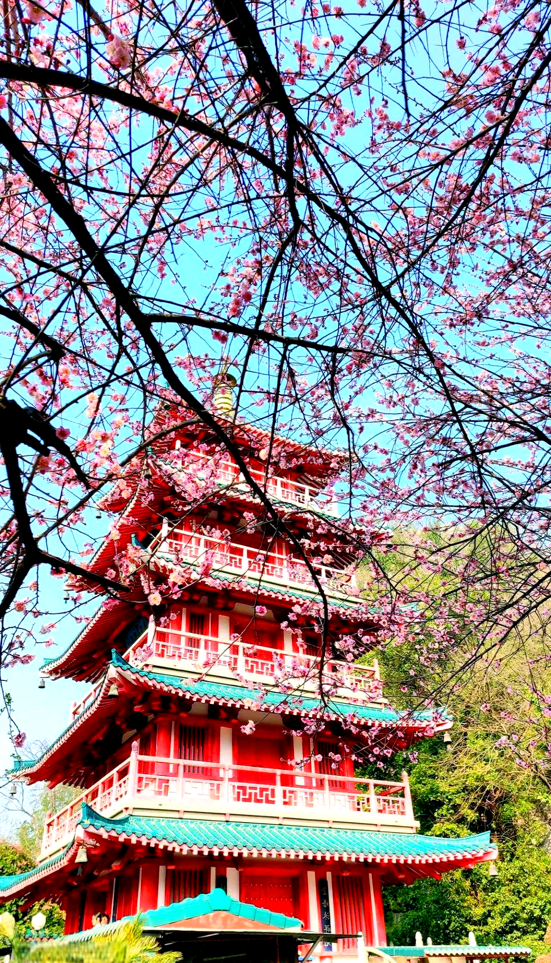 桂林虞山公园,桂林虞山公园要门票吗