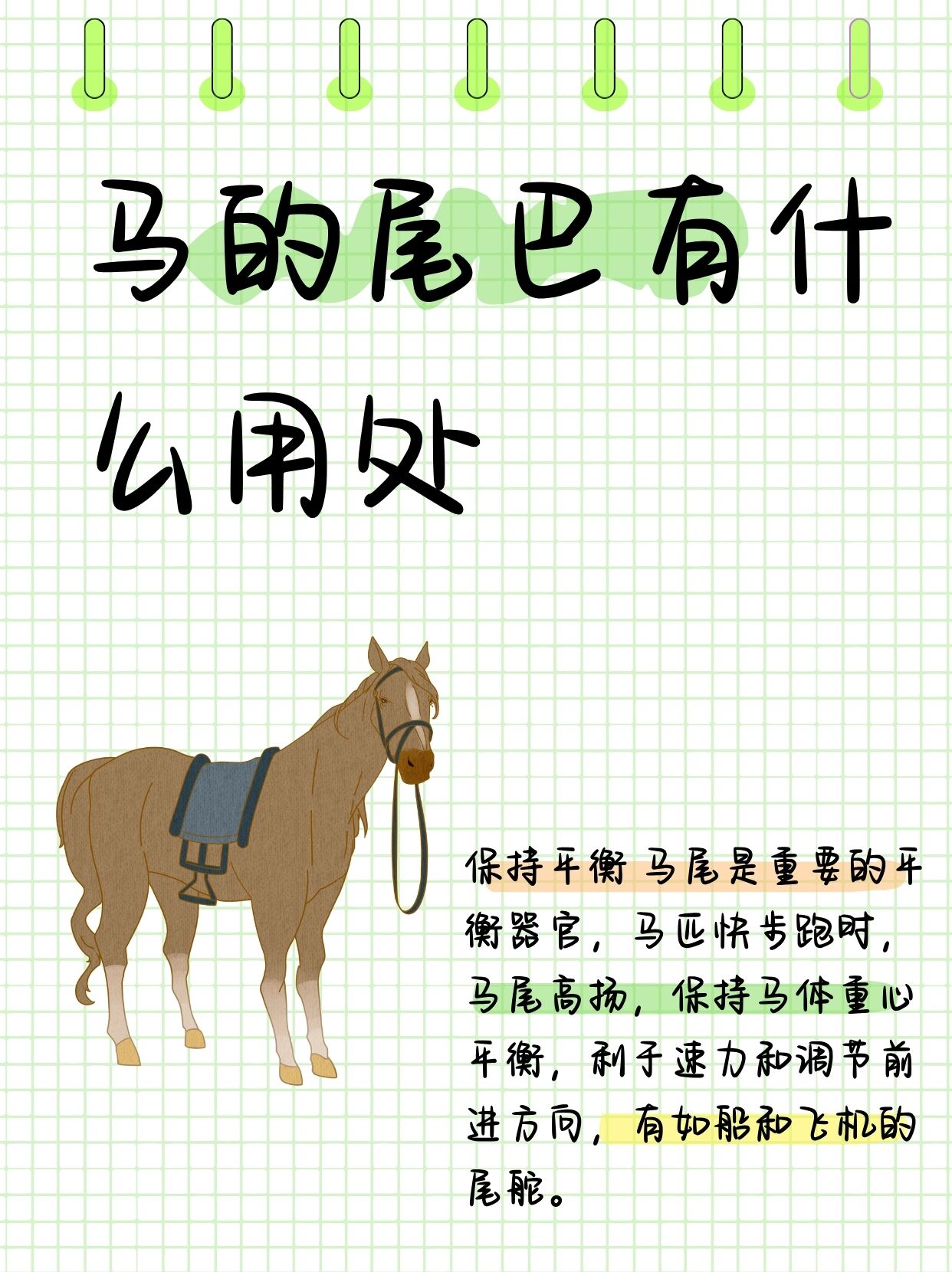 马匹的拼音,一匹马是一声还是三声