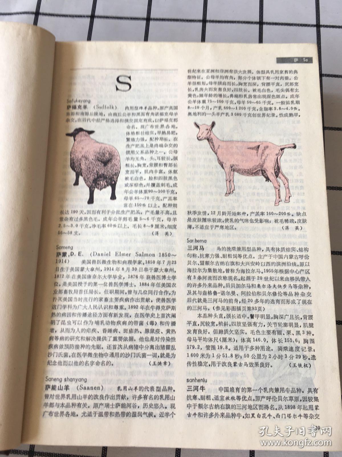 中国大百科全书农业卷pdf,百科全书pdf下载