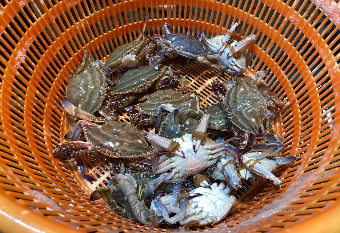 葫芦岛美食,葫芦岛美食探店