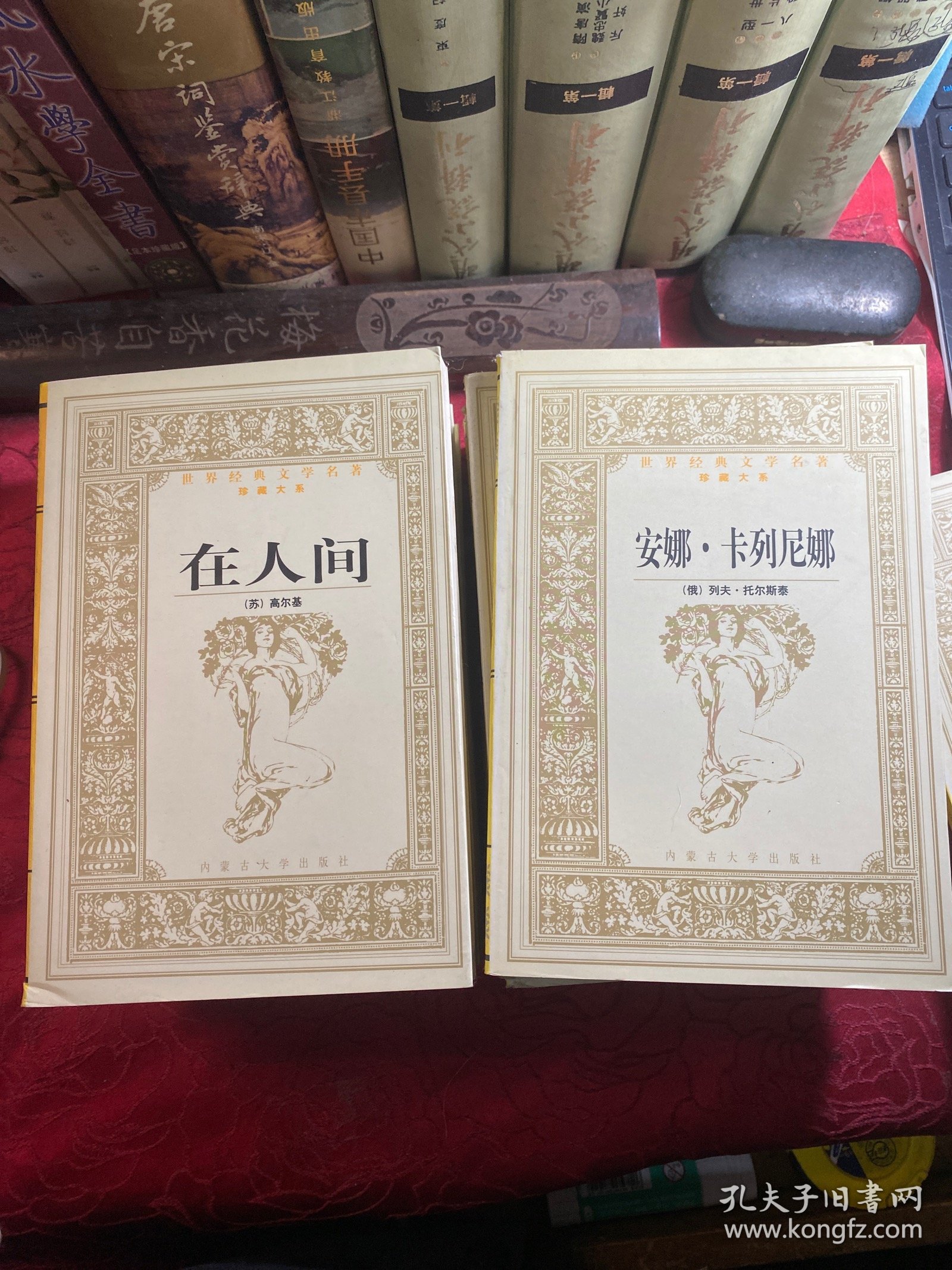 世界文学名著500本,经典文学名著摘抄500字