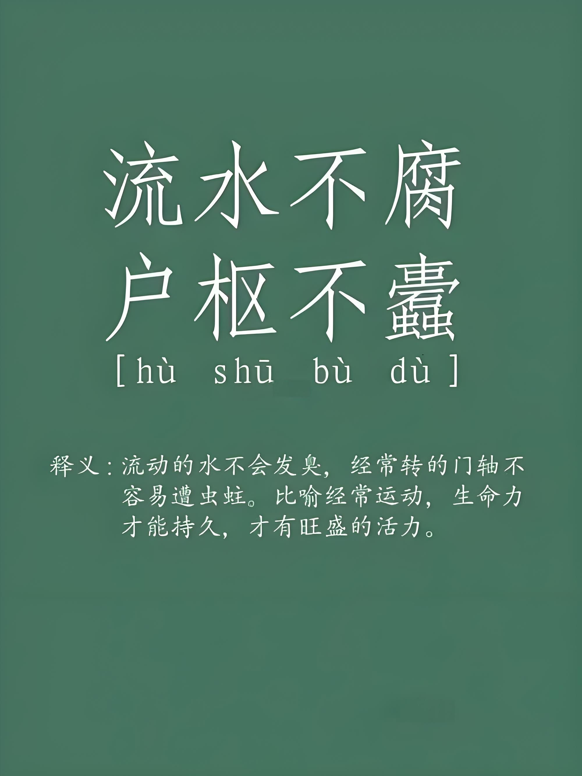 寸步不让的意思,寸步不让的意思形容什么动物生肖