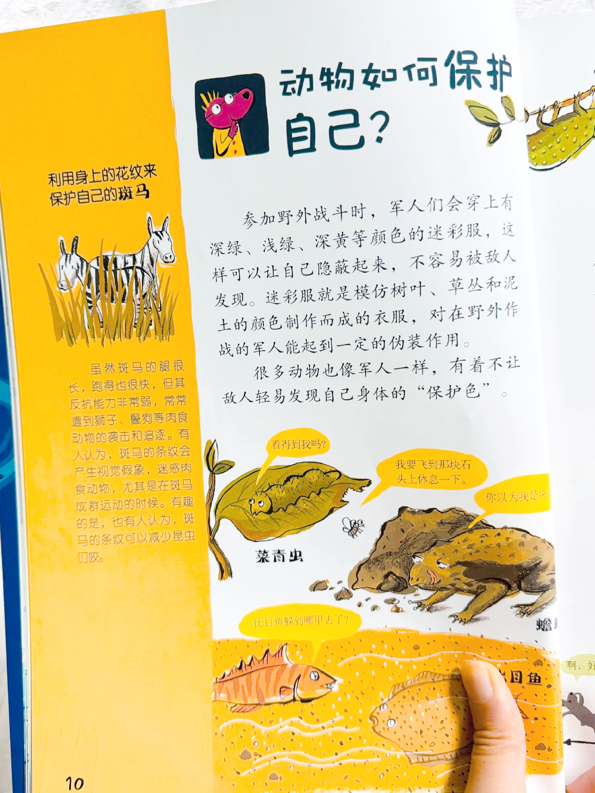 科普书8-12岁必读的十部,1215岁必看的十本书