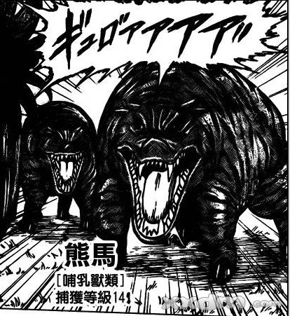 美食猎人美食界篇漫画免费,美食猎人漫画在线全集免费观看