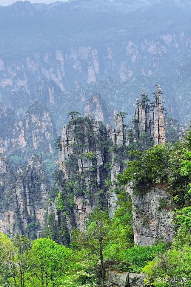 湖南手机网,湖南知青网手机版首页