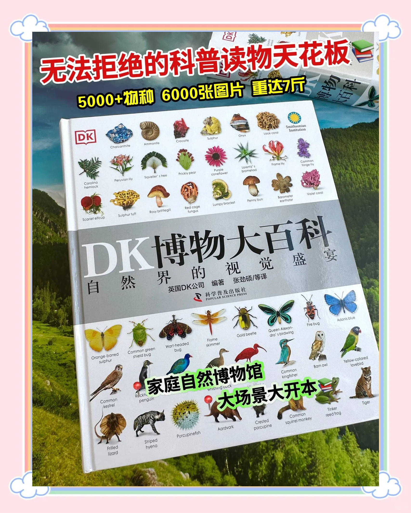 dk和英国百科全书哪个好知乎,dk百科全书哪个出版社最好