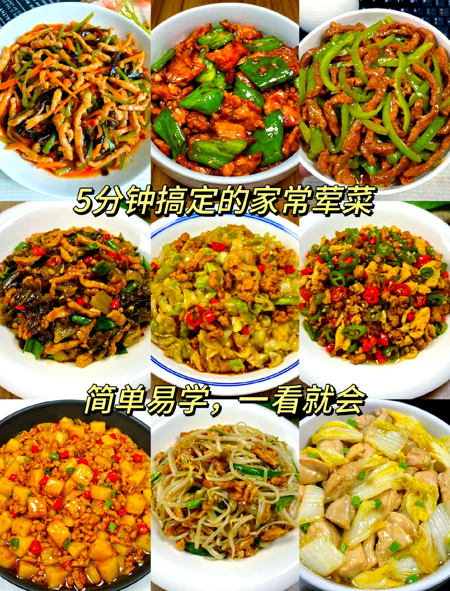 家常菜谱1000例荤菜,私房菜100道菜谱全套