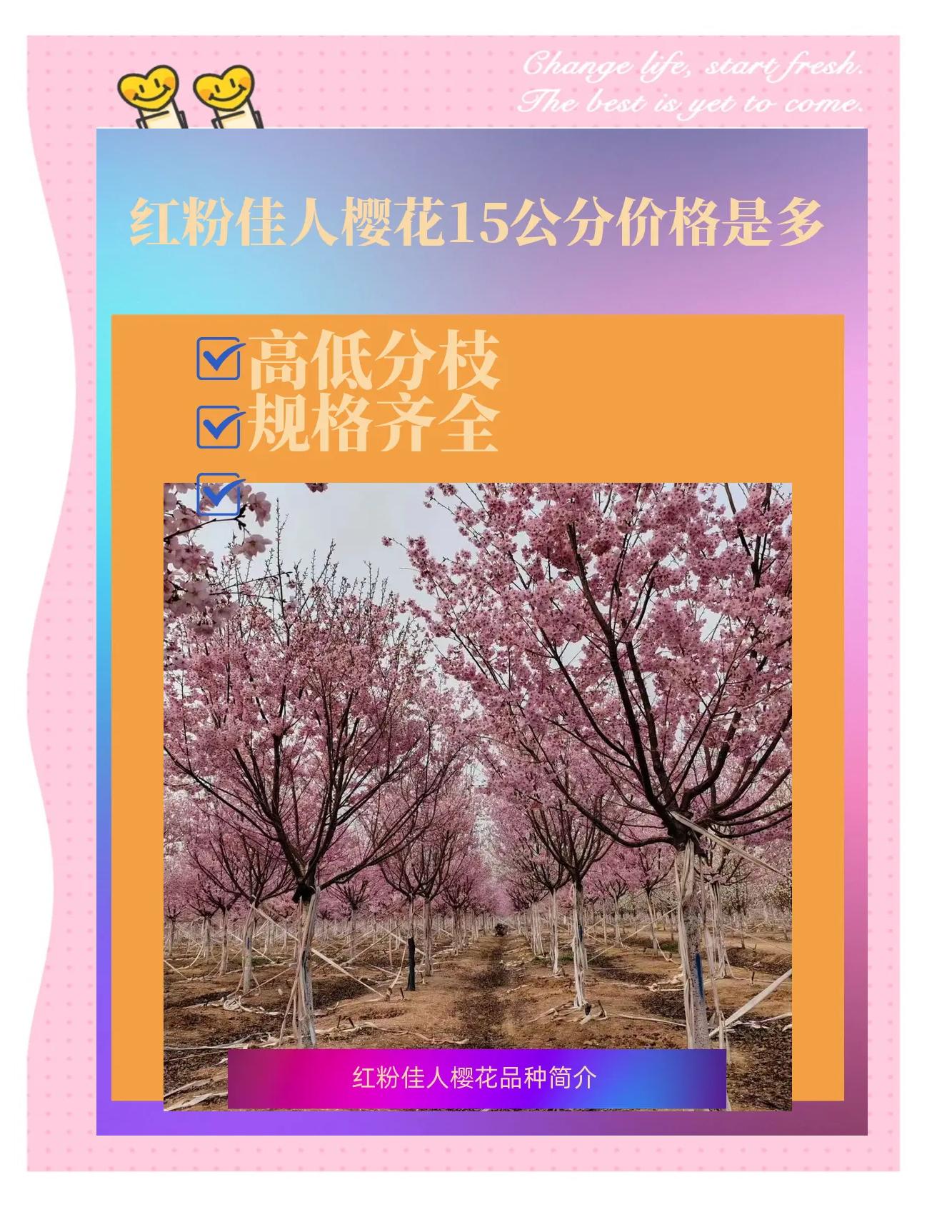 红粉佳人是什么意思,足疗红粉佳人什么意思