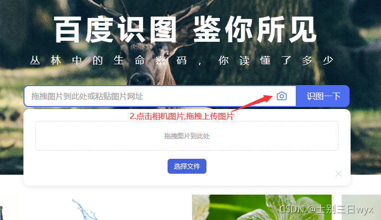 百度识图搜索,百度识图电脑版