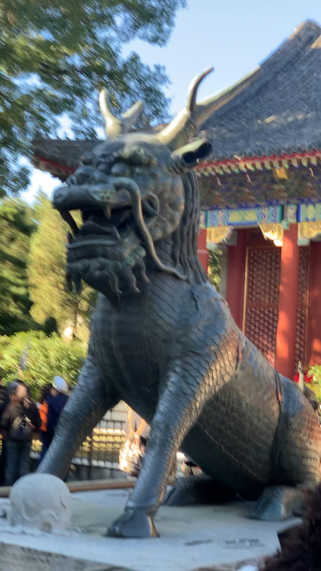 世界上最后一只麒麟,世界上最后一只麒麟是真的吗