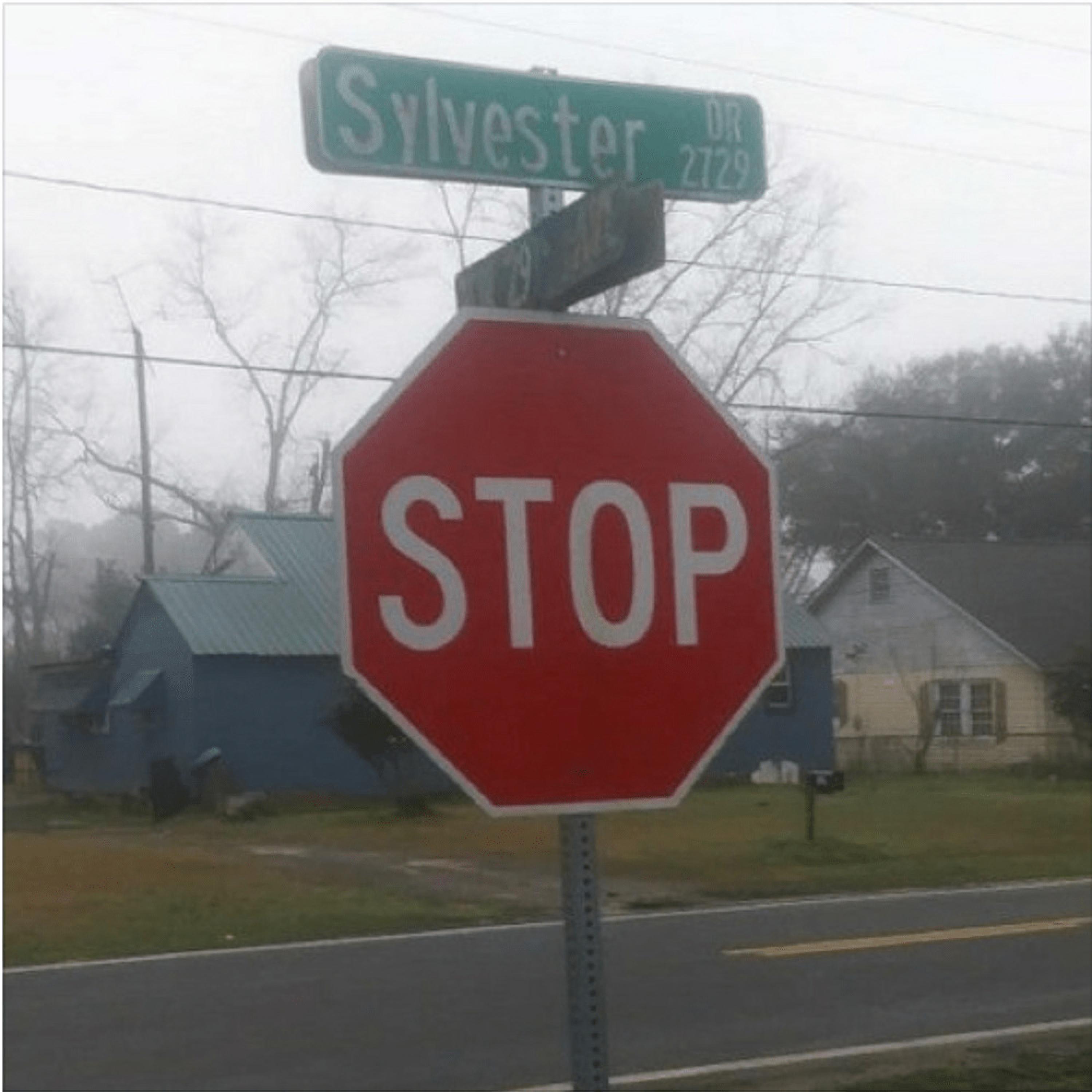 shortbus,Shortbus