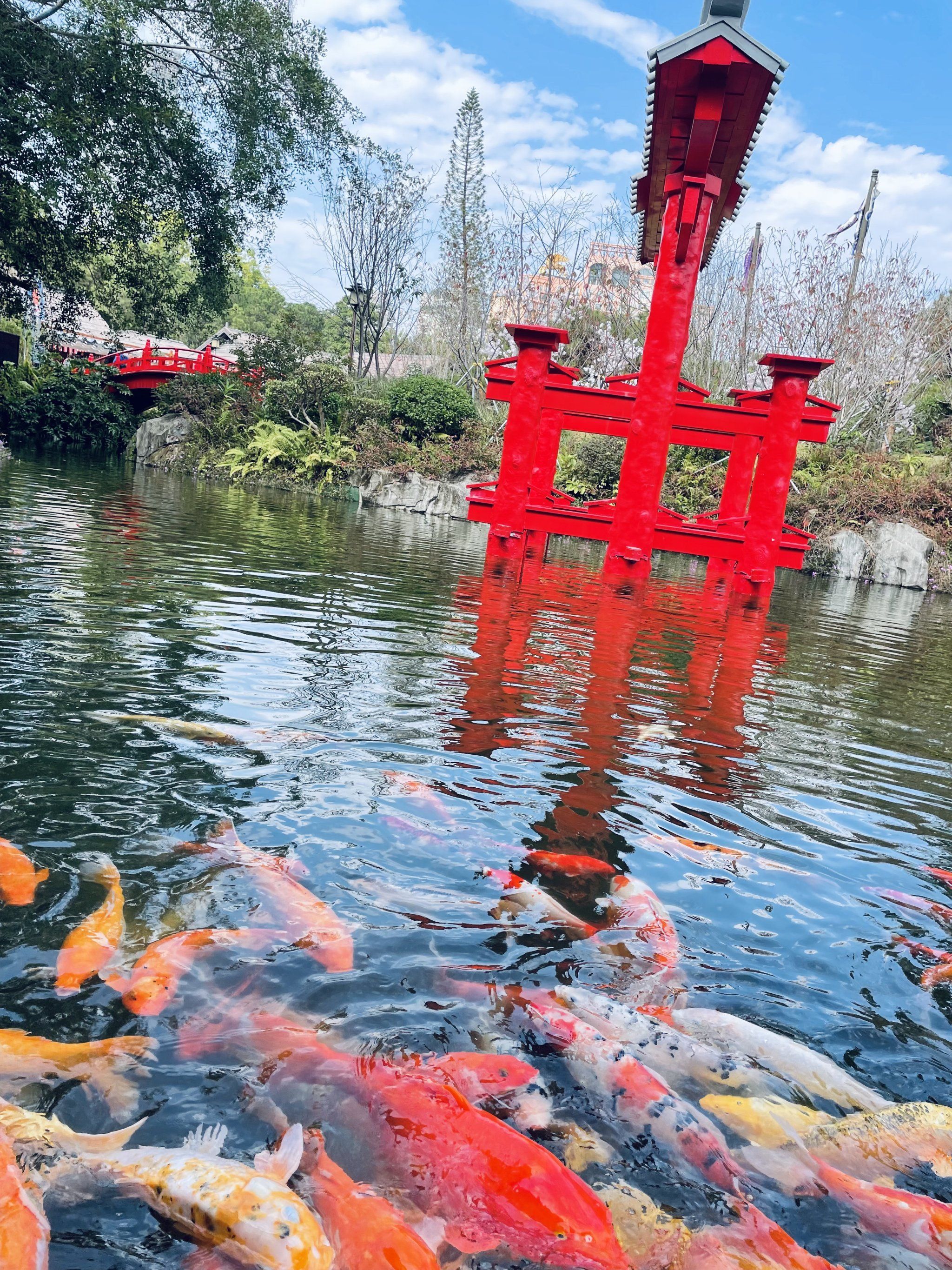 深圳市旅游景点,深圳旅游攻略自由行推荐