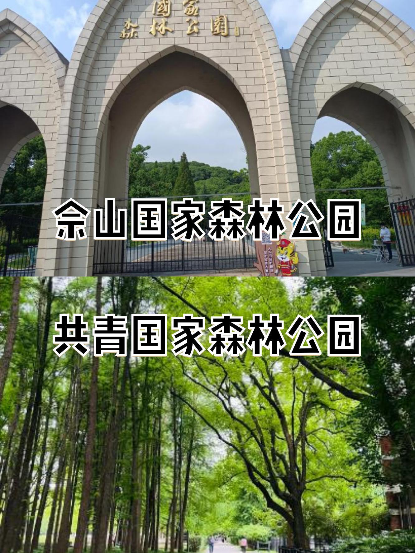 佘山国家森林公园攻略,佘山国家森林公园好玩吗?