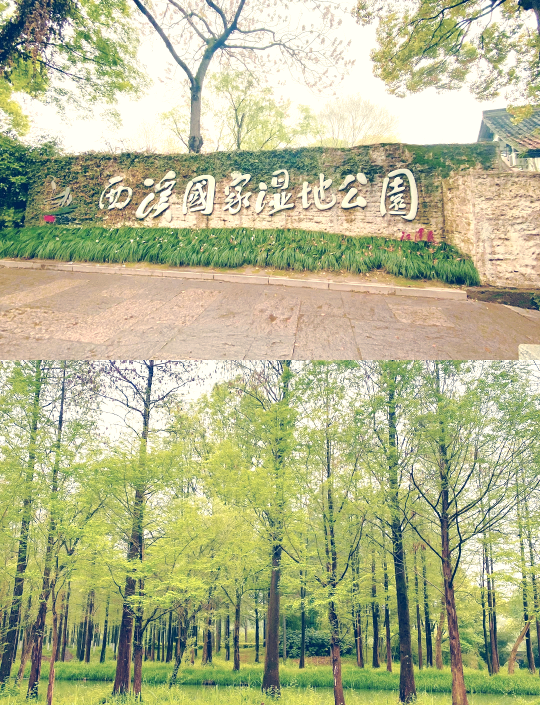 西溪湿地公园卡,西溪湿地公园卡可以用吗
