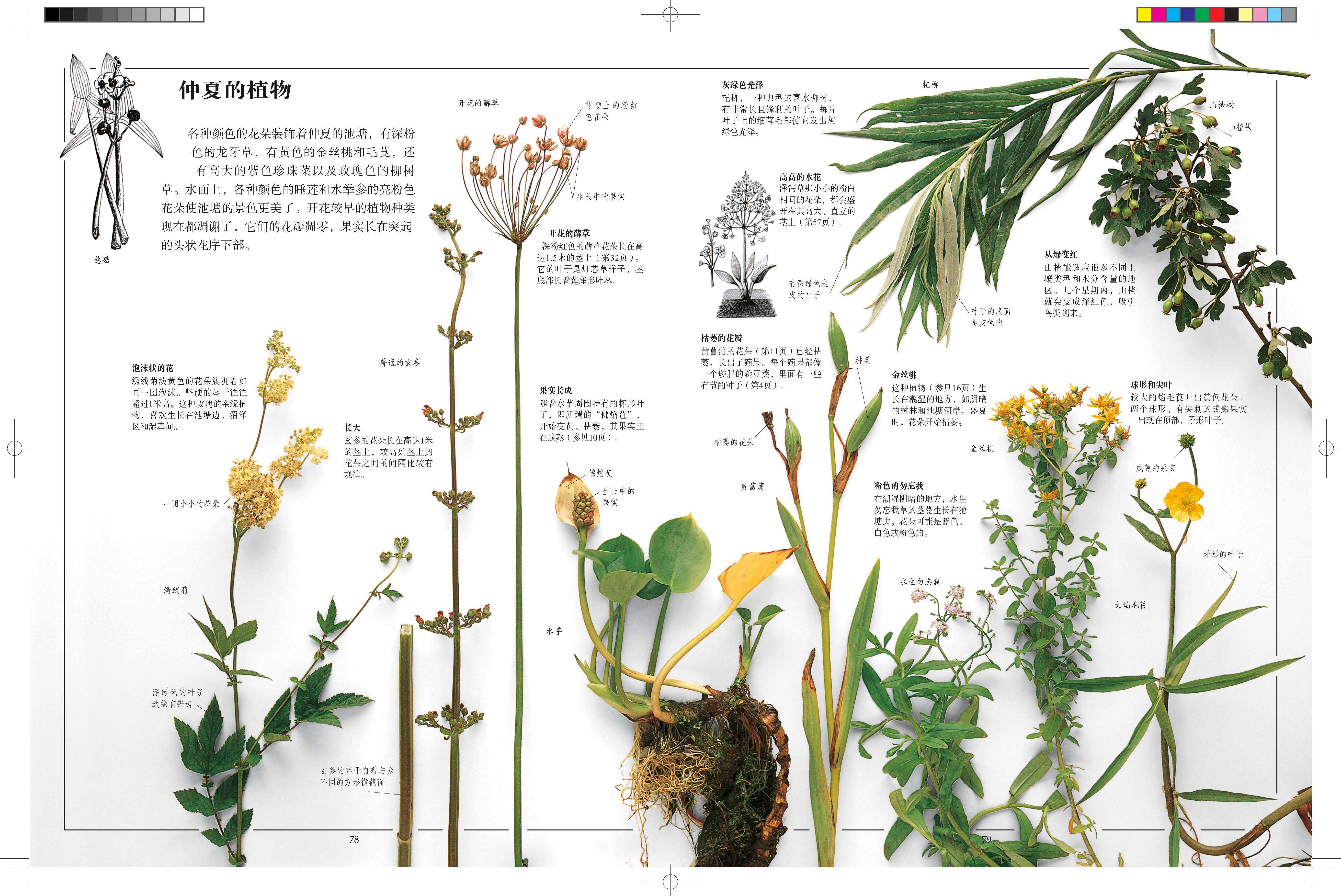百科全书的用处,百科全书的功能