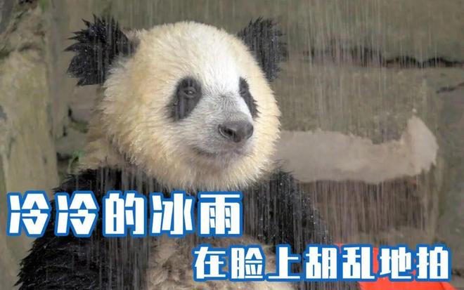 阵雨的拼音,阵雨的拼音怎么写的拼音怎么读