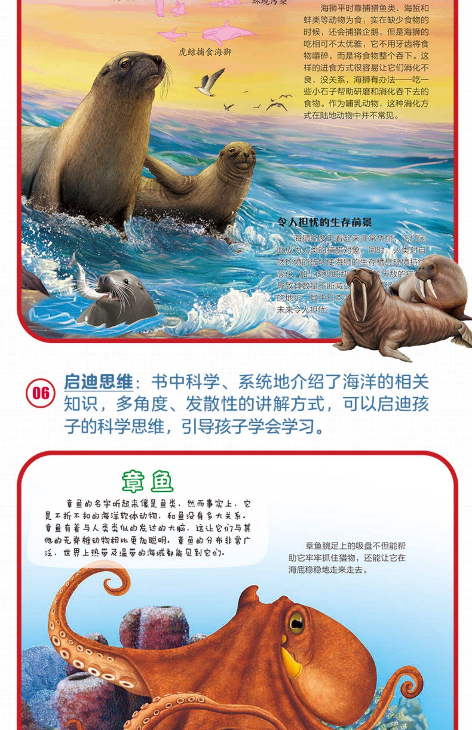 少儿科普读物有哪些书710岁,少儿科普书名作者及内容