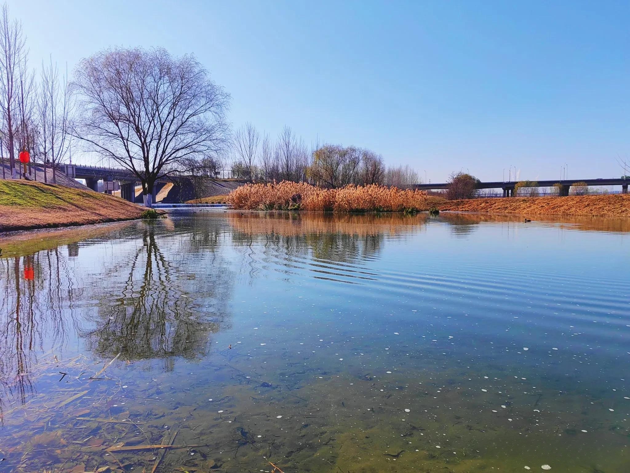 西安湿地公园,西安周边旅游必去十大景点推荐