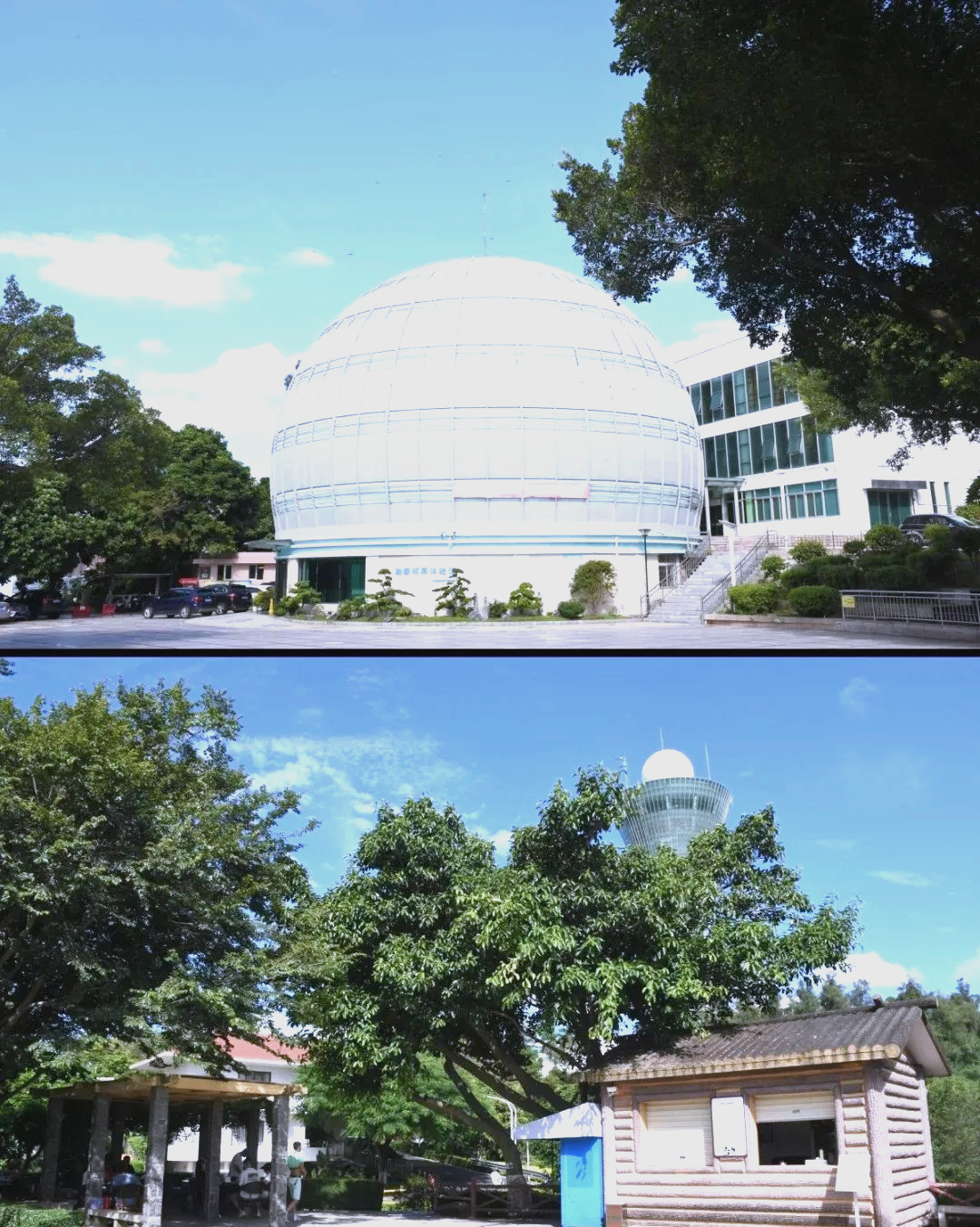 狐尾山公园,狐尾山公园樱花谷