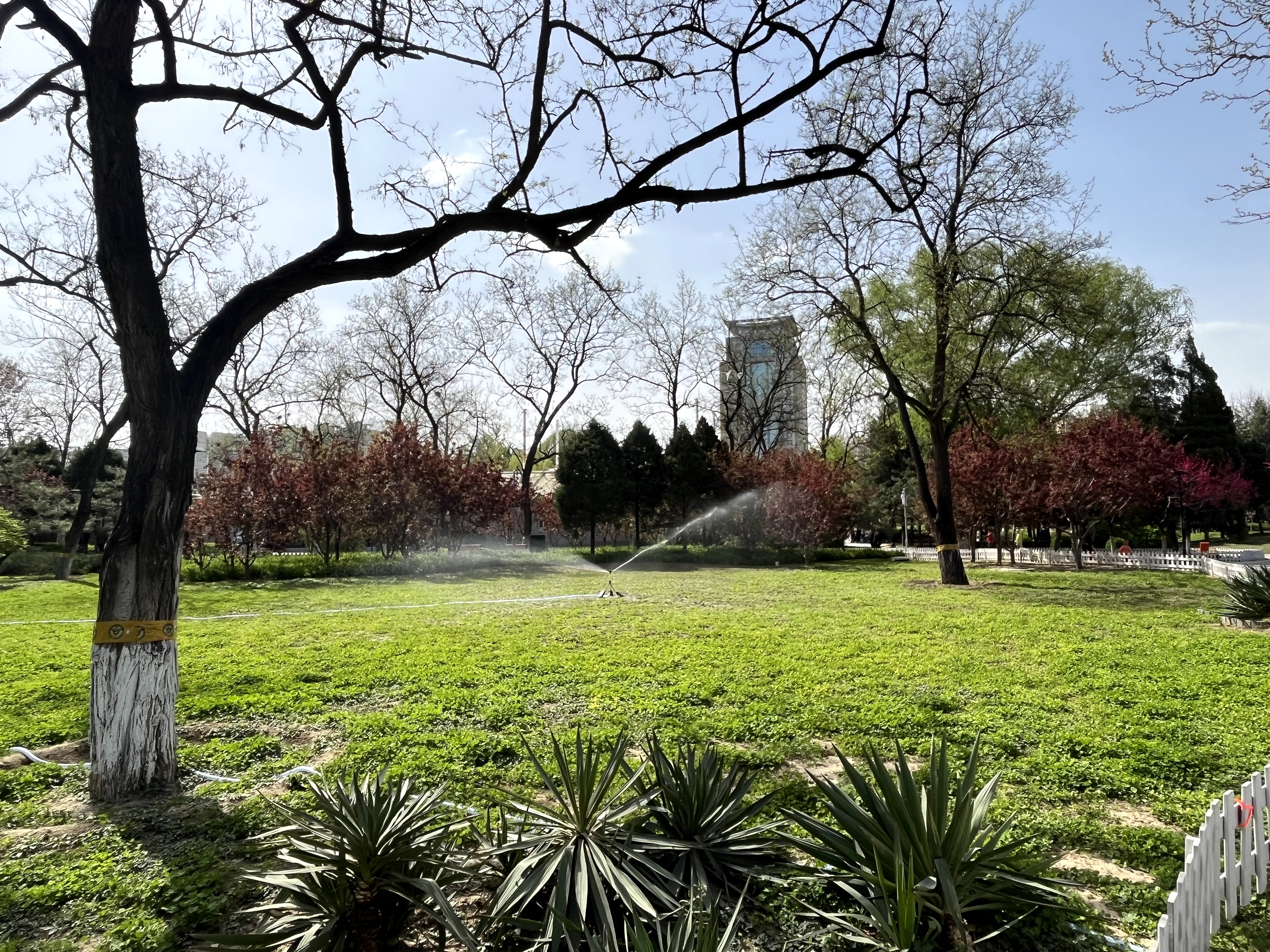 万芳亭公园,万芳亭公园在哪里