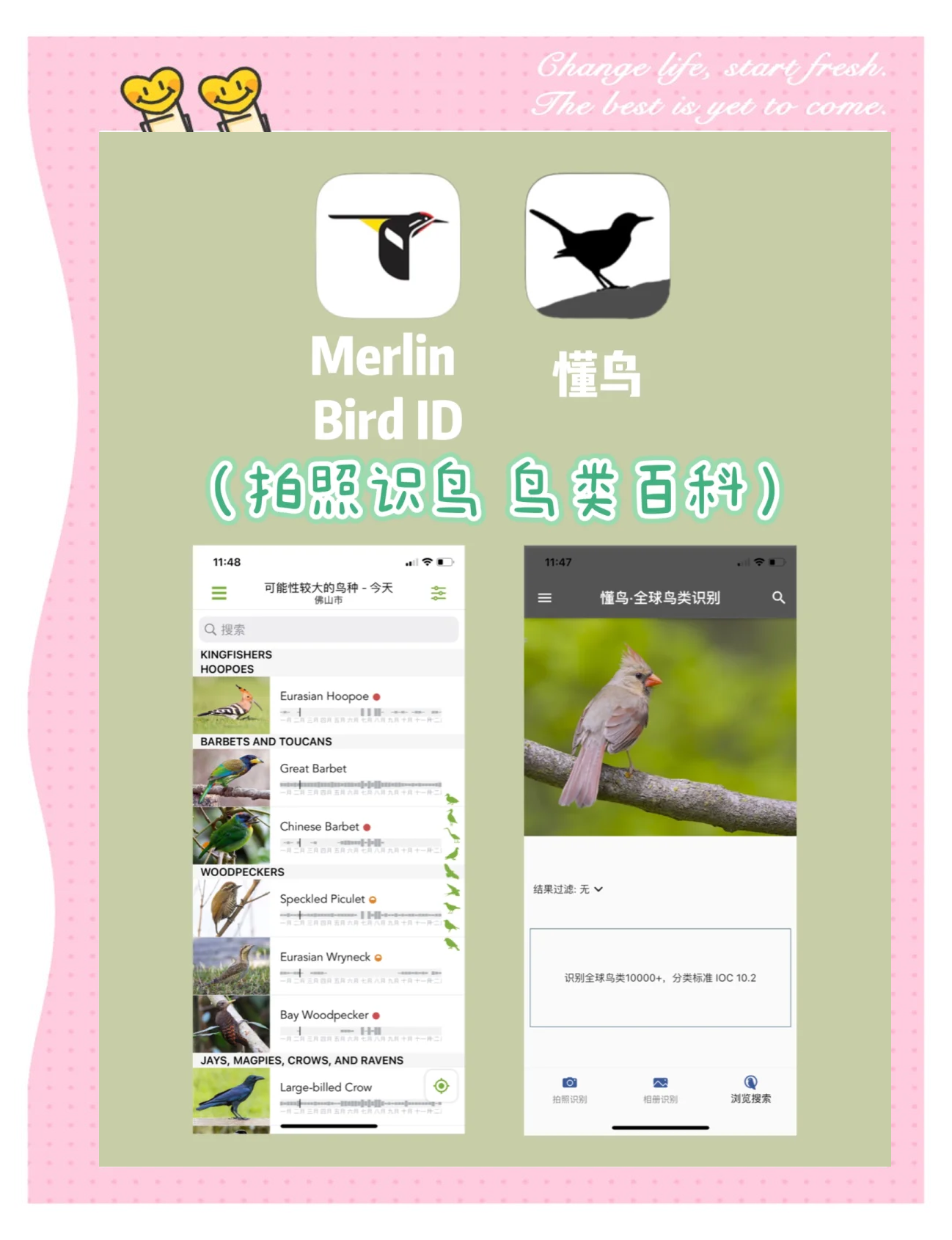 那里有百科全书app,百科全书下载软件