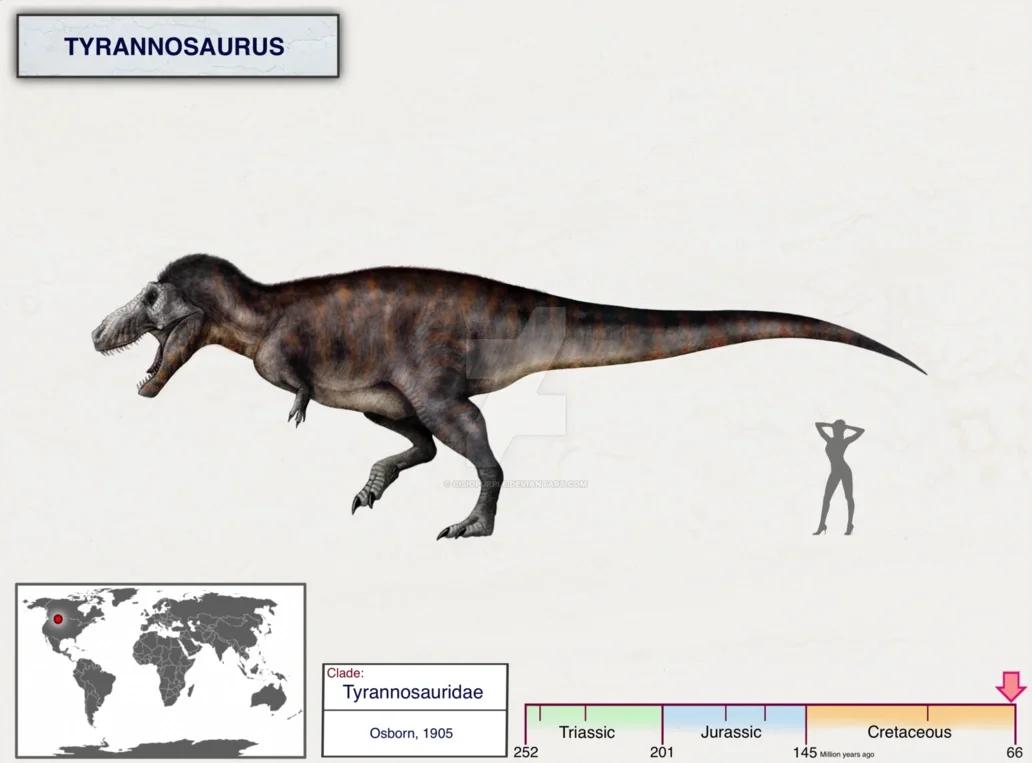 tyrannosaur,tyrannosaurus正确发音