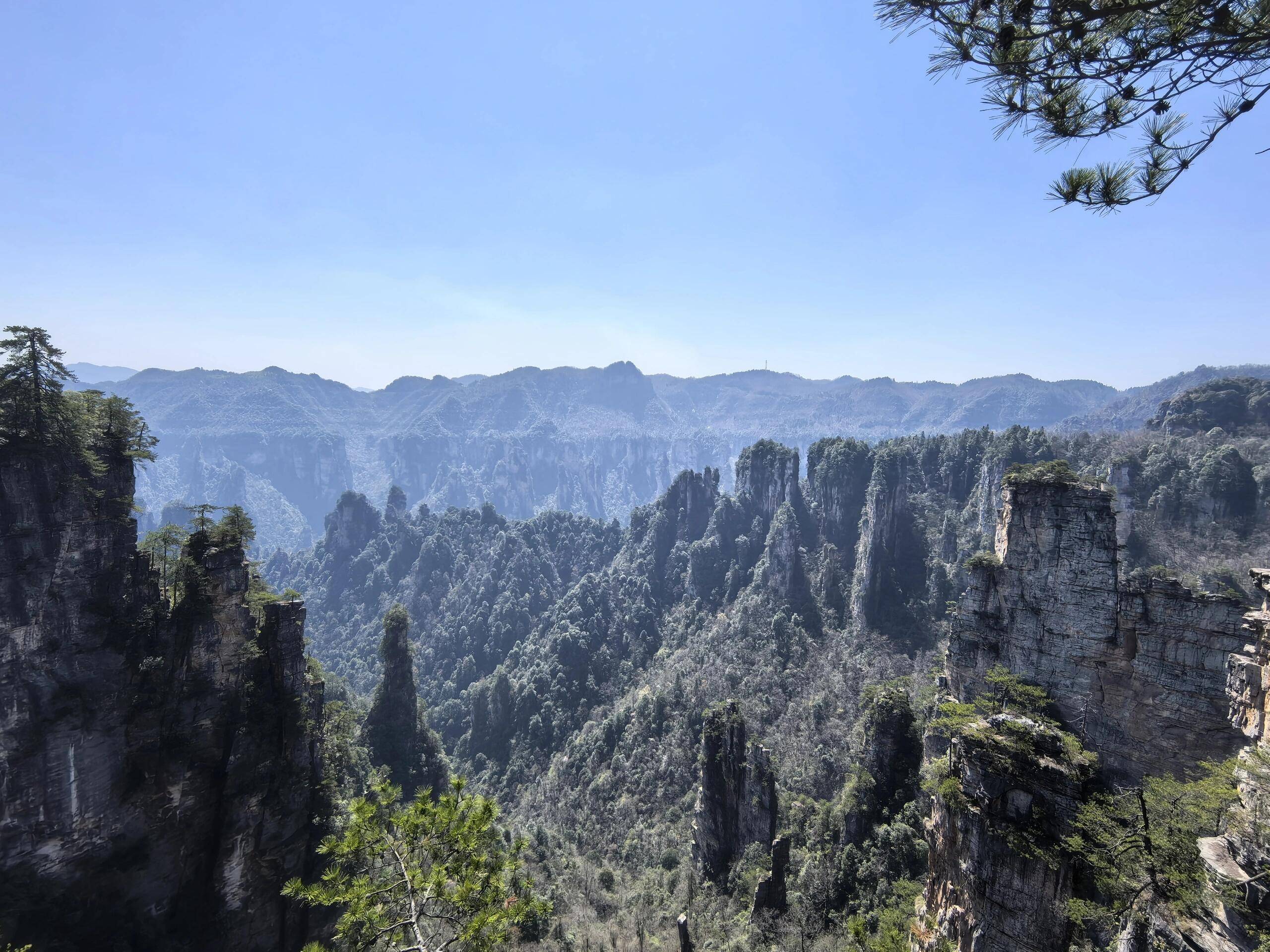 旅游景点排行榜前十名张家界,张家界自由行导游口碑排名