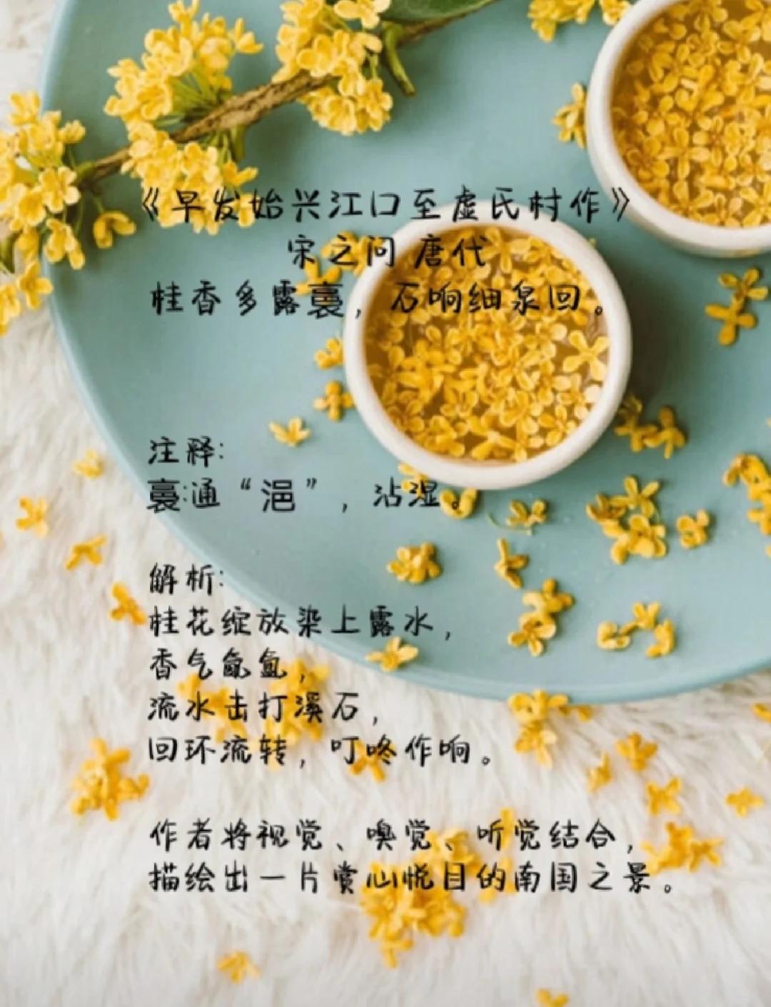 金桂飘香造句,金桂飘香造句子怎么造