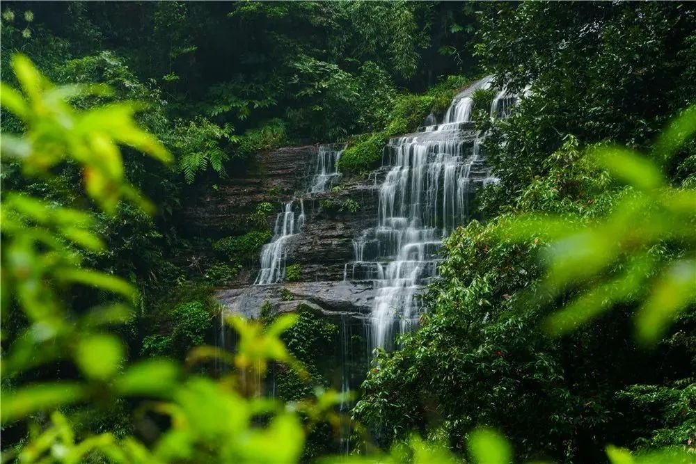 四川雅安旅游景点,四川雅安旅游景点大全