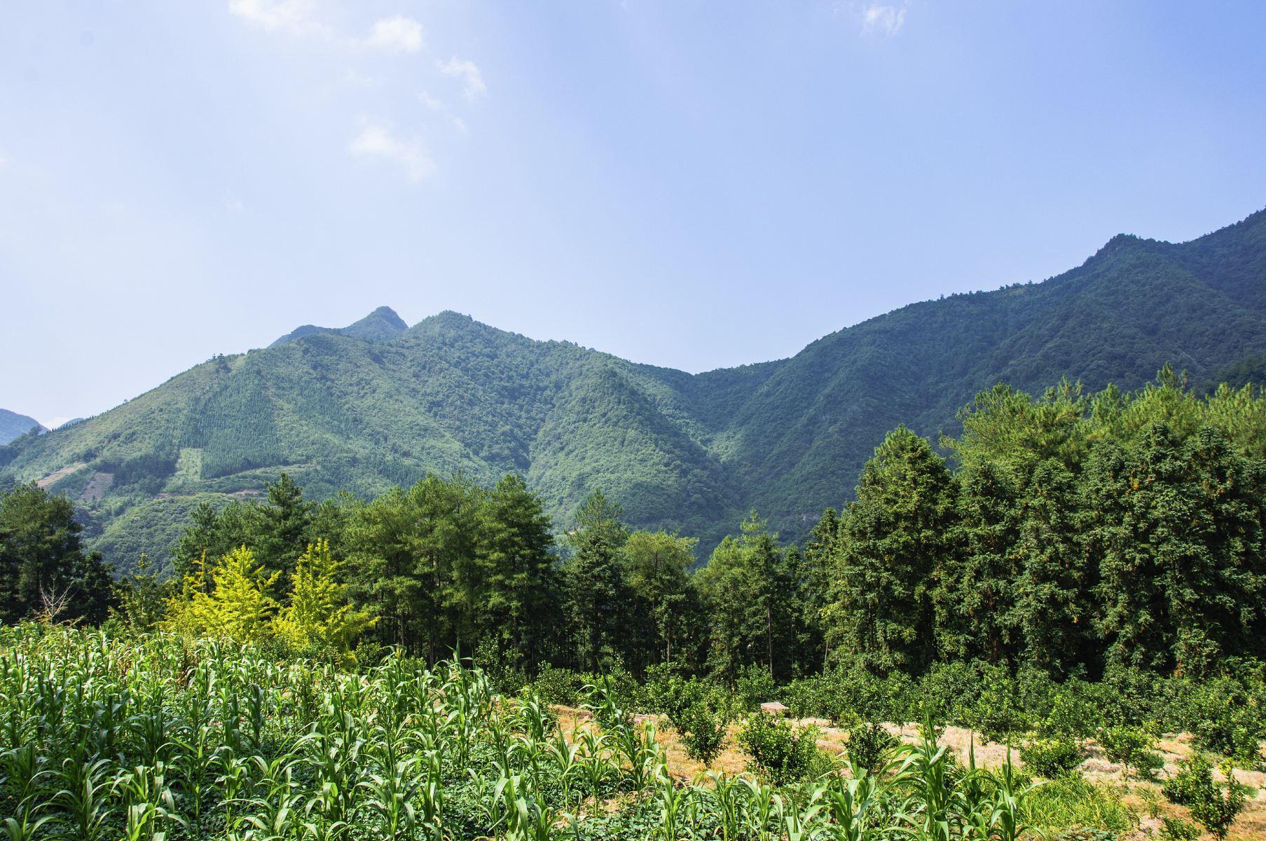南岭森林公园,南岭森林公园小黄山图片