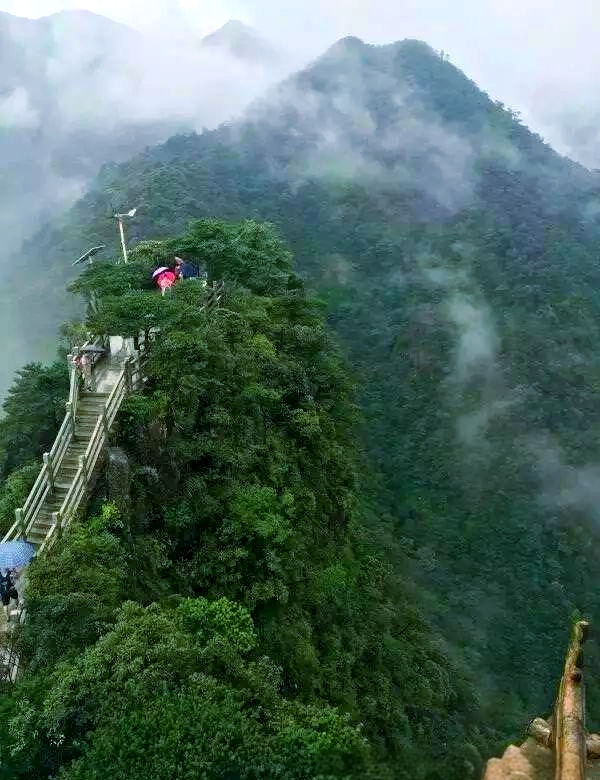 南岭森林公园,南岭森林公园小黄山图片