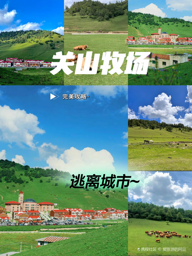 关山牧场旅游攻略,西安去宝鸡关山牧场旅游攻略
