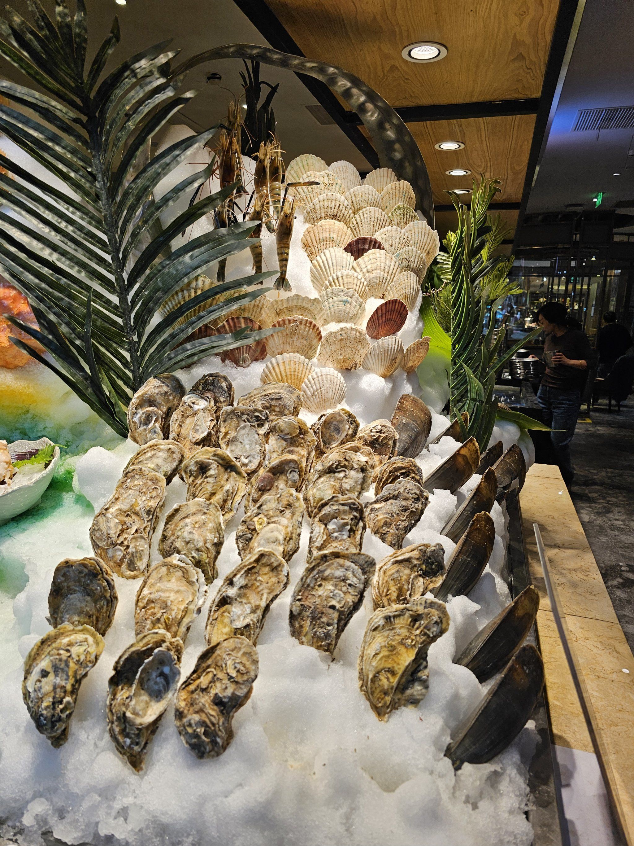 金鲨国际美食百汇,银鲨国际美食团购