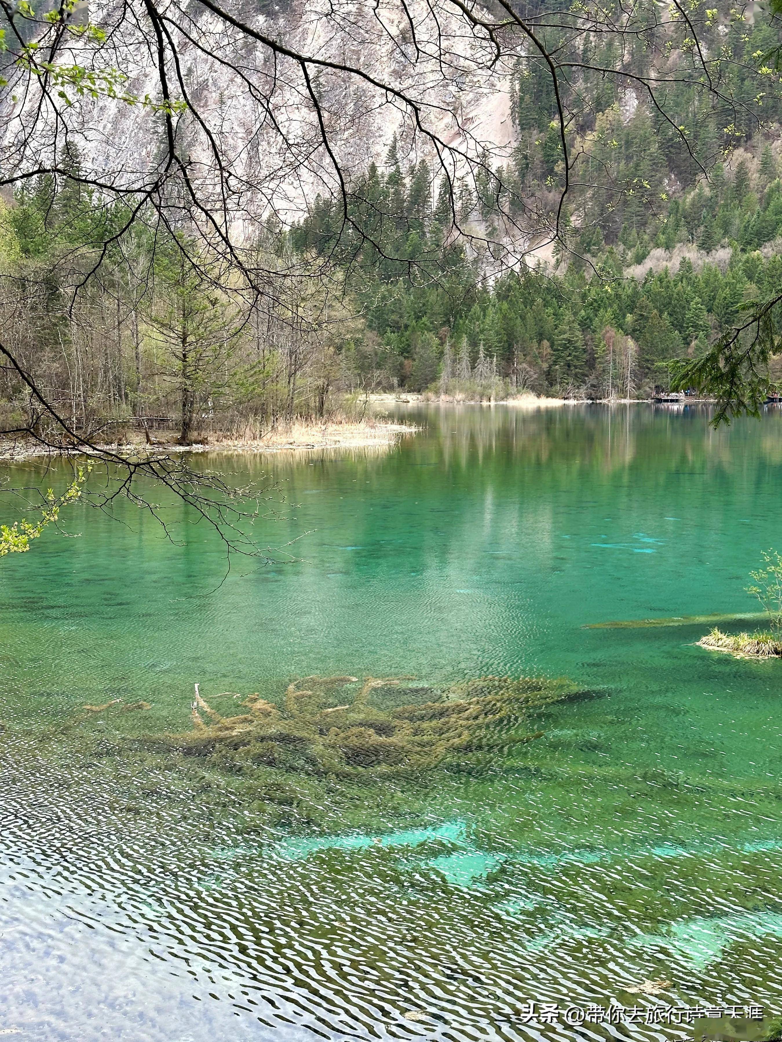 九寨沟旅游景点图片,九寨沟自驾游攻略最佳路线