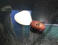 斌加贝念什么,斌加贝念什么 yuan