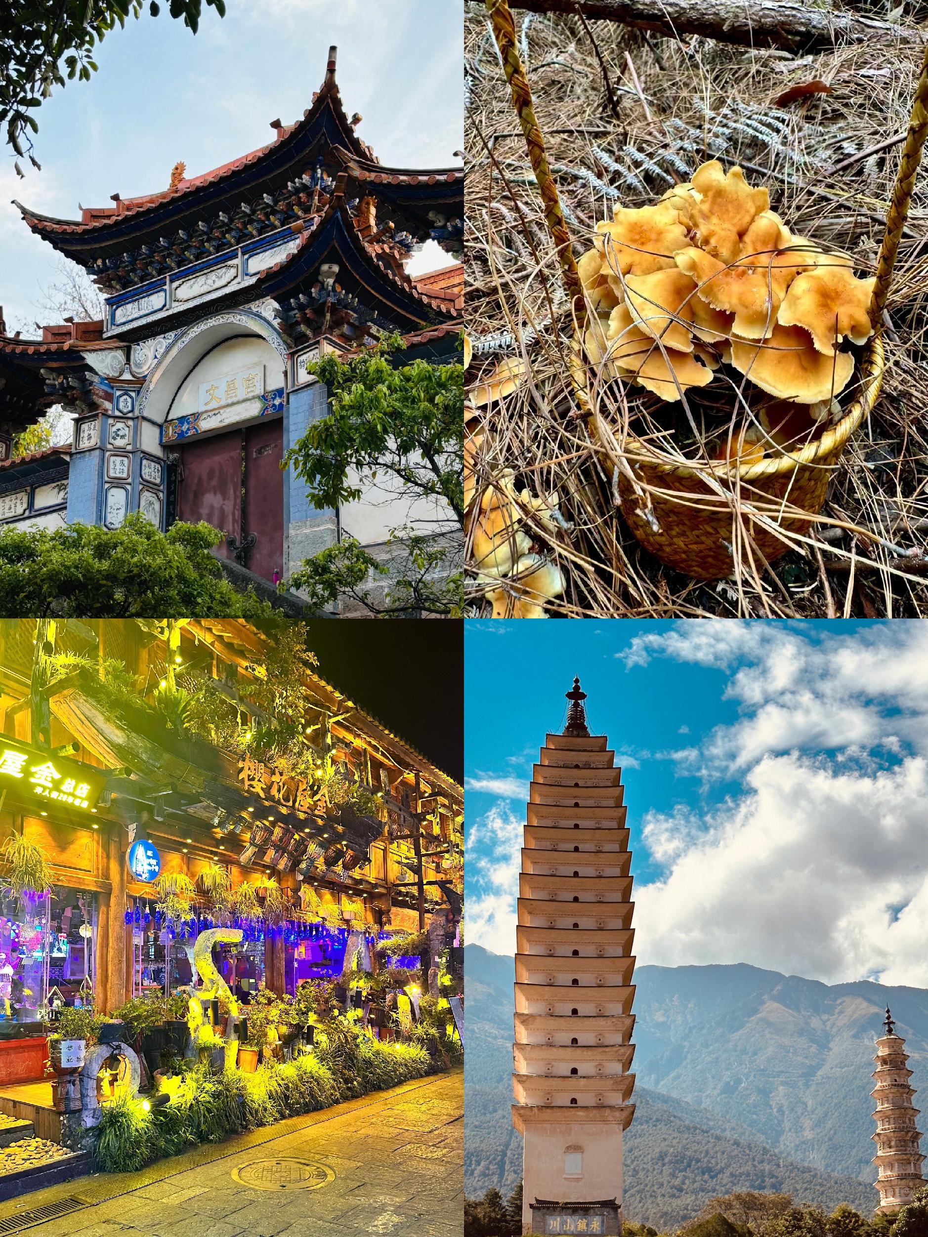 云南五日游攻略,五日游云南旅游攻略