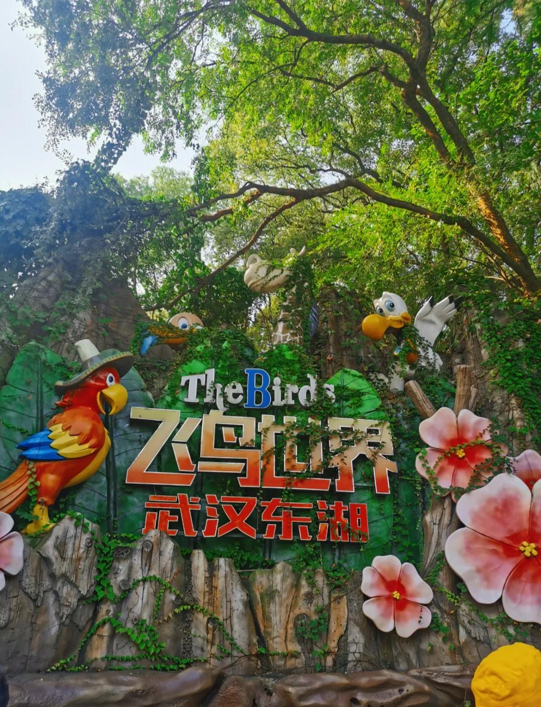 武汉海洋公园,武汉海洋公园游玩攻略