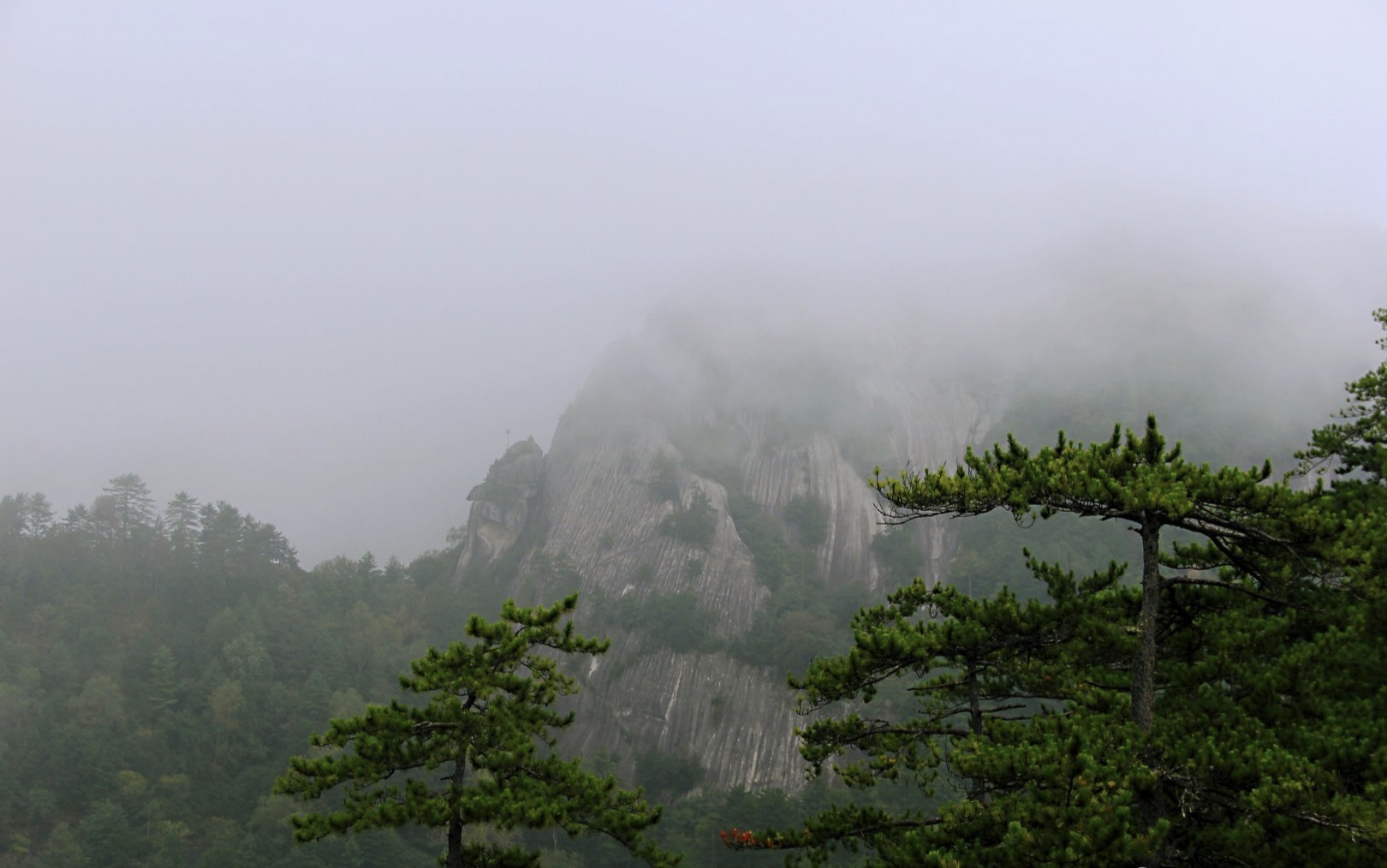 木王森林公园,木王森林公园介绍