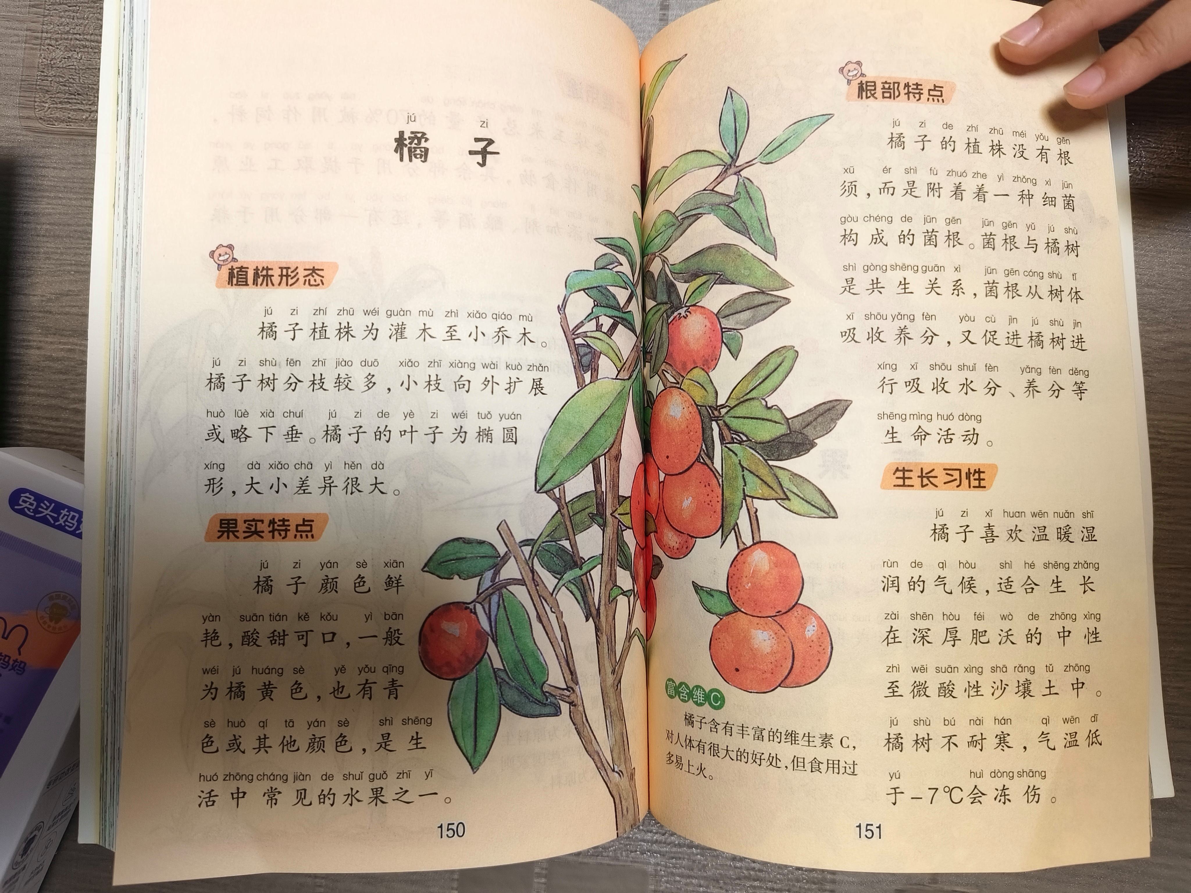 中国少年儿童百科全书的价值,中国少年儿童百科全书北京教育出版社
