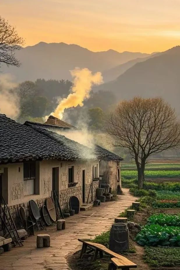 竹篱茅舍,竹篱茅舍独徘徊是什么动物