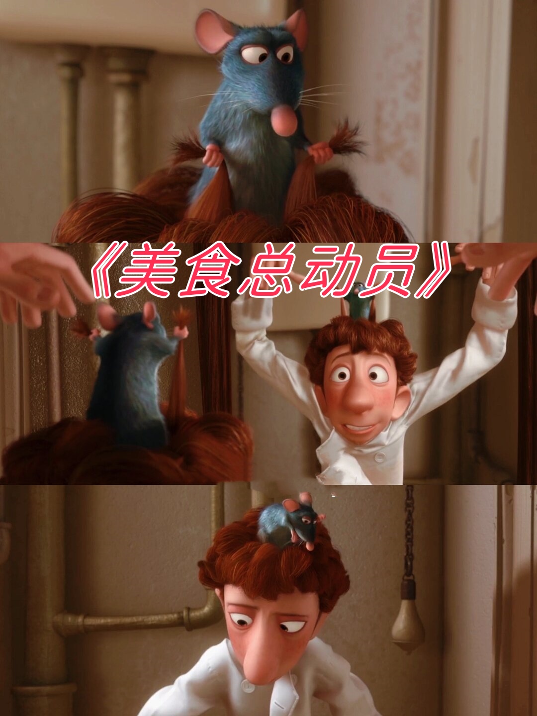 美食总动员电影英文版,美食总动员电影英文台词
