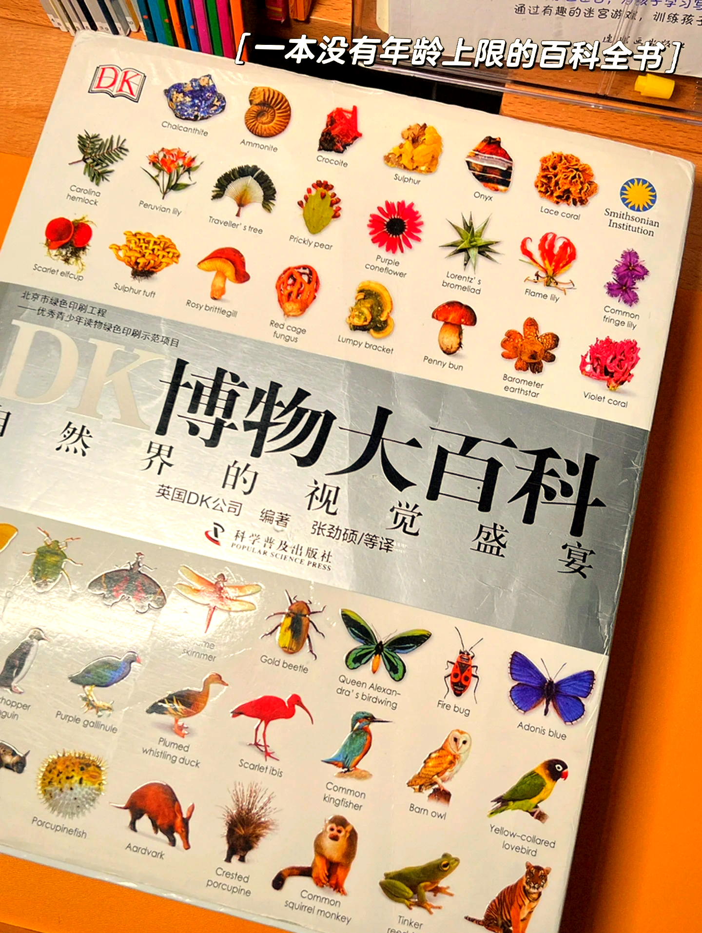 家庭生活百科全书,少儿百科全书