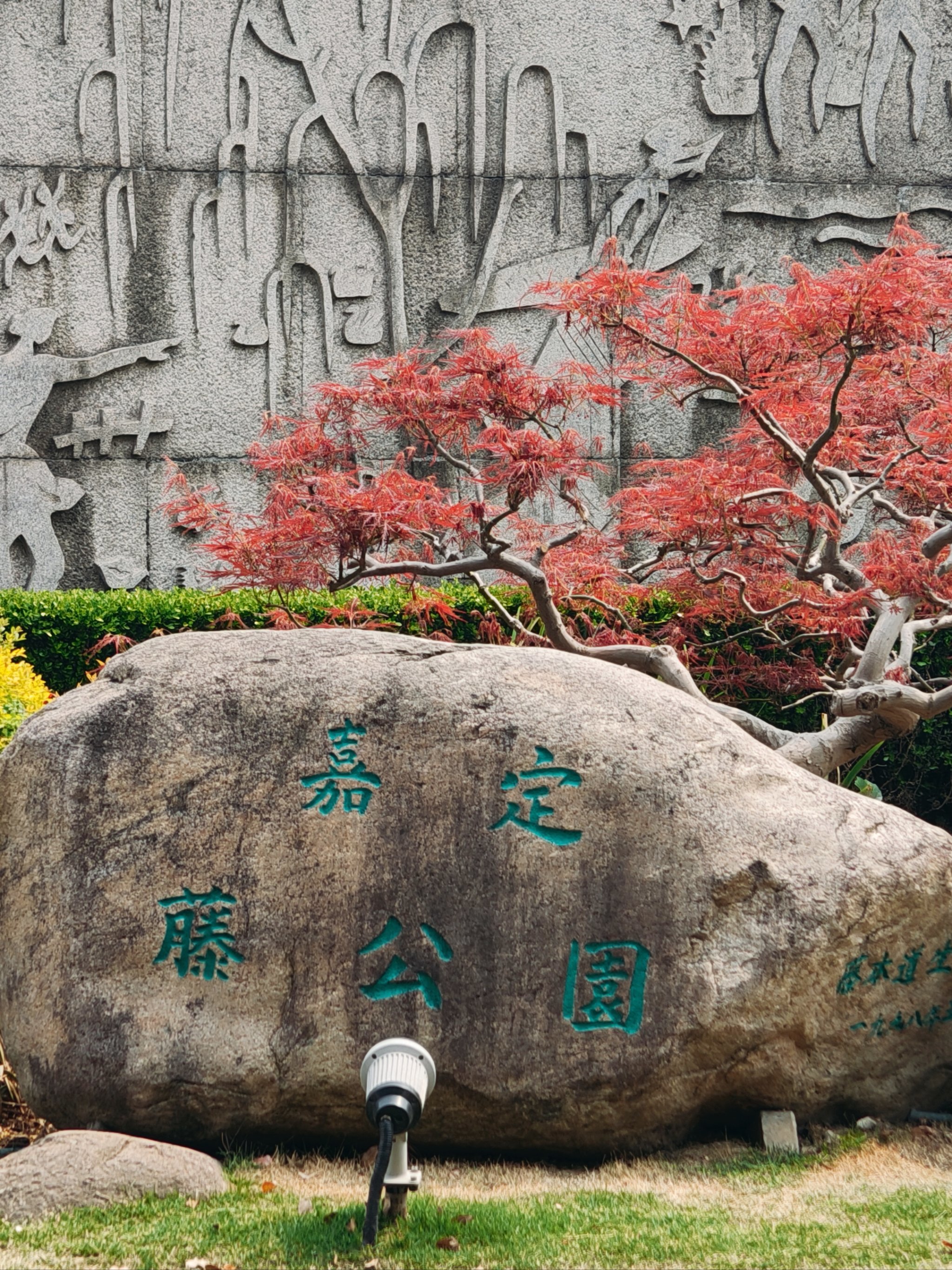 嘉定紫藤公园,嘉定紫藤公园怎么预约