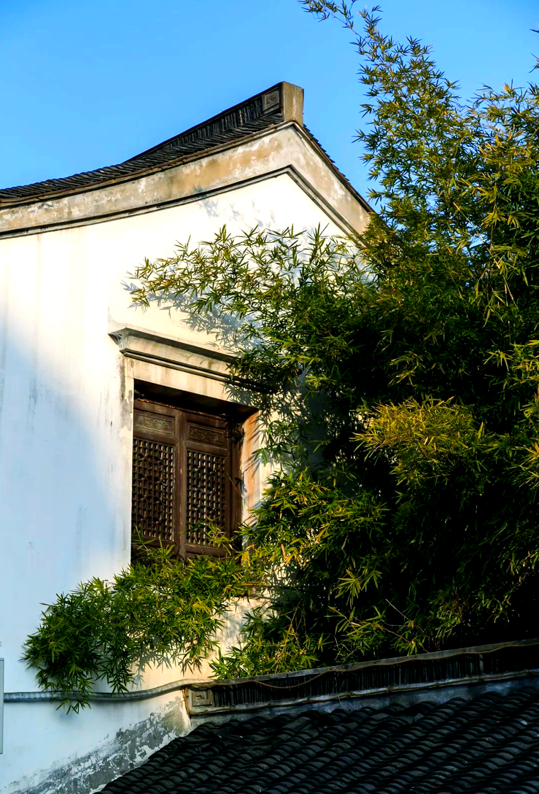 资阳旅游景点大全,资阳旅游景点大全介绍