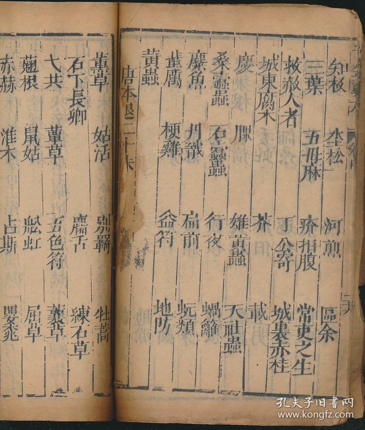 中书网,中书网官方入口网站